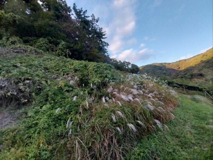 충청남도 공주시 유구읍 녹천리 363-4 전 경매 사진 9