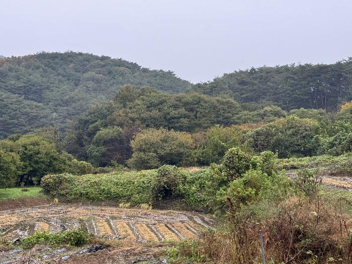 충청남도 청양군 화성면 구재리 87 전 경매 사진 1
