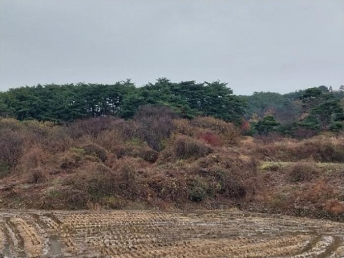 충청남도 청양군 화성면 구재리 87 전 경매 사진 3