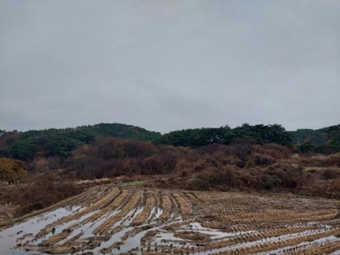 충청남도 청양군 화성면 구재리 87 전 경매 사진 4