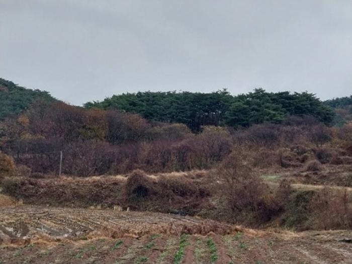 충청남도 청양군 화성면 구재리 87 전 경매 사진 5