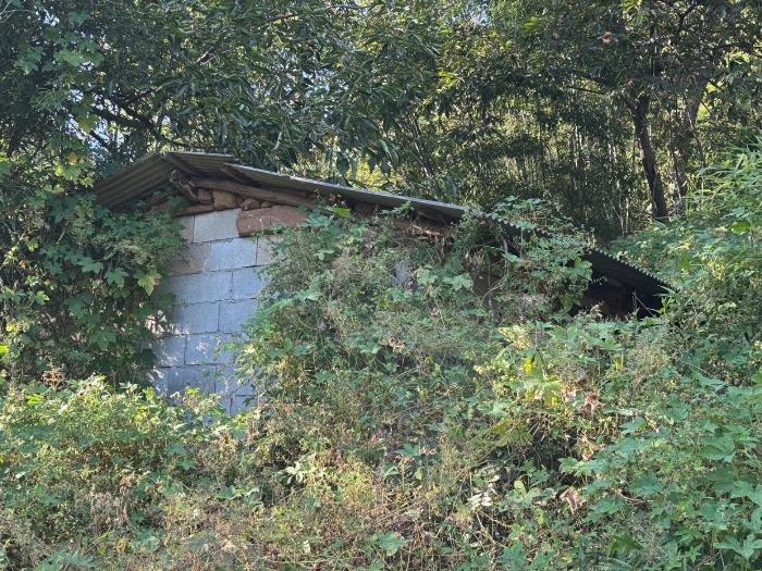 충청남도 공주시 의당면 두만리 251 대지 경매 사진 11