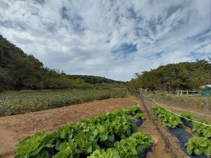 충청남도 공주시 의당면 두만리 251 대지 경매 사진 16