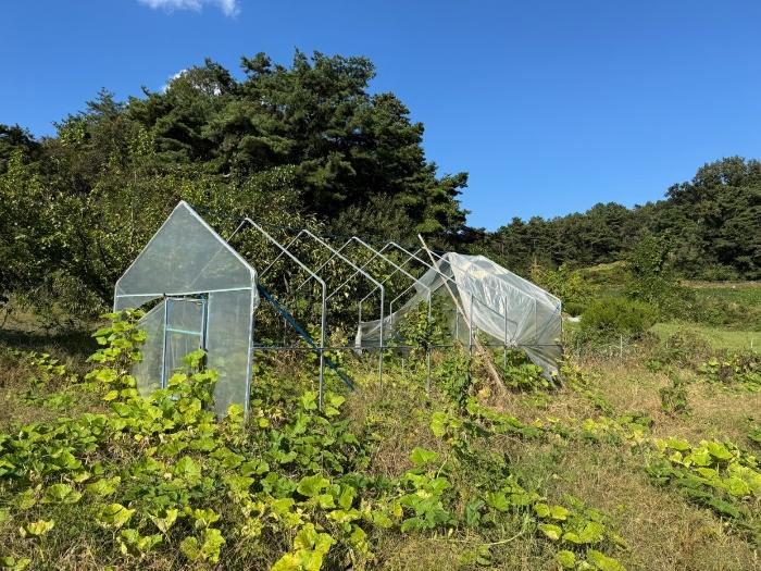충청남도 공주시 의당면 두만리 251 대지 경매 사진 8