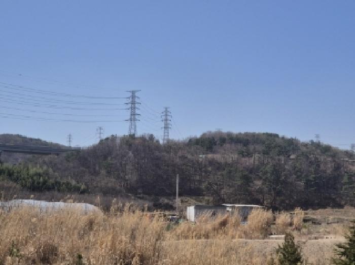 경상북도 포항시 남구 오천읍 문덕리 산156-36 임야 경매 사진 6