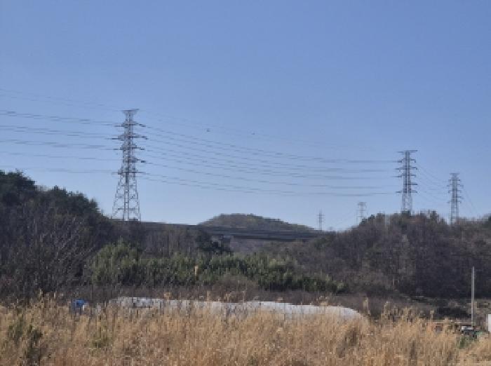 경상북도 포항시 남구 오천읍 문덕리 산156-36 임야 경매 사진 7