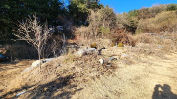 충청북도 제천시 봉양읍 연박리 293-3 주택 경매 사진 35