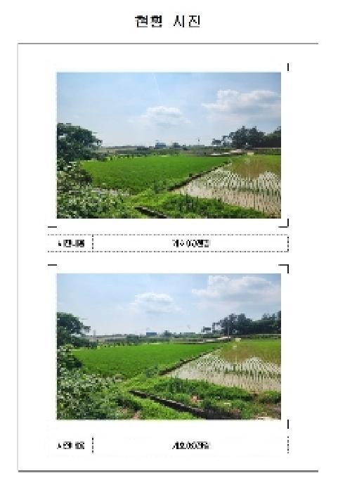전라남도 영암군 시종면 신흥리 205-3 답 경매 사진 25