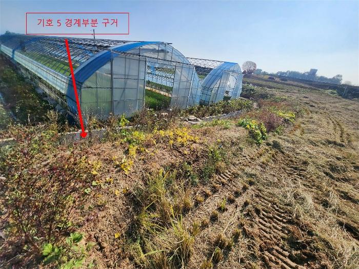 충청남도 당진시 합덕읍 대합덕리 501-2 전 경매 사진 11