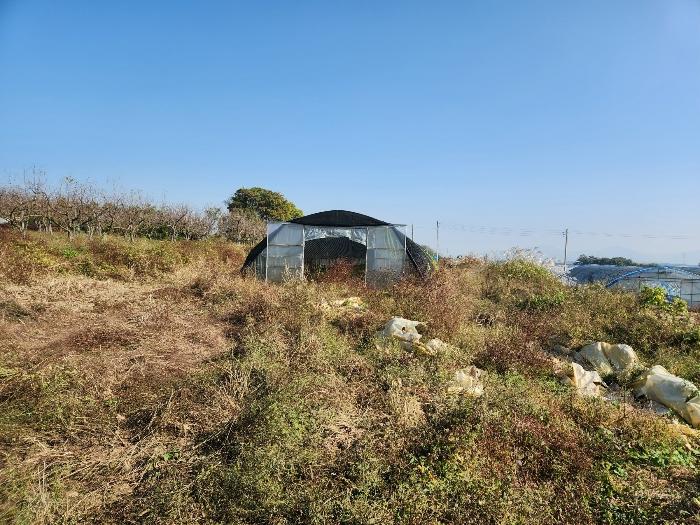 충청남도 당진시 합덕읍 대합덕리 501-2 전 경매 사진 12