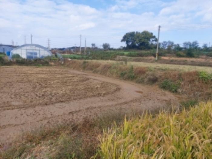 충청남도 당진시 합덕읍 대합덕리 501-2 전 경매 사진 16