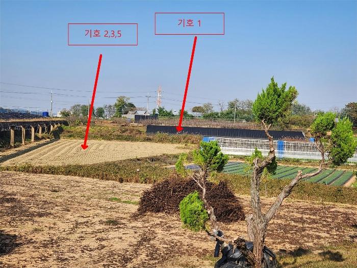 충청남도 당진시 합덕읍 대합덕리 501-2 전 경매 사진 2