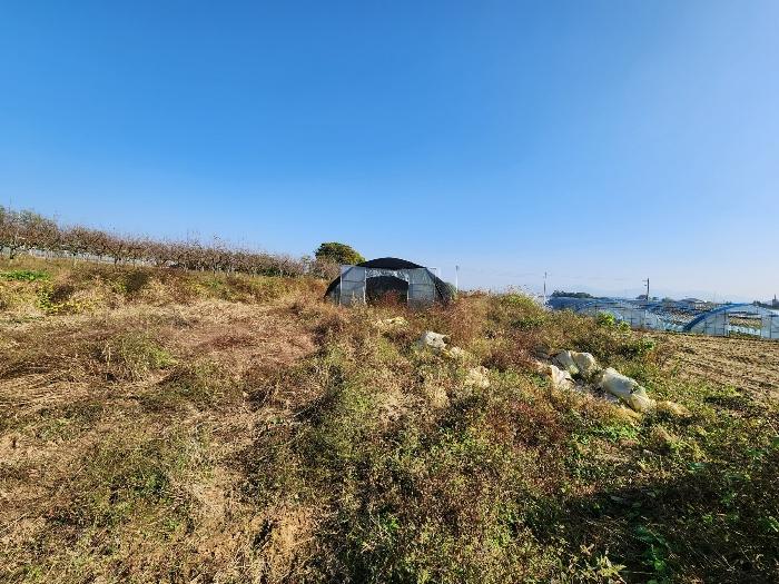 충청남도 당진시 합덕읍 대합덕리 501-2 전 경매 사진 3