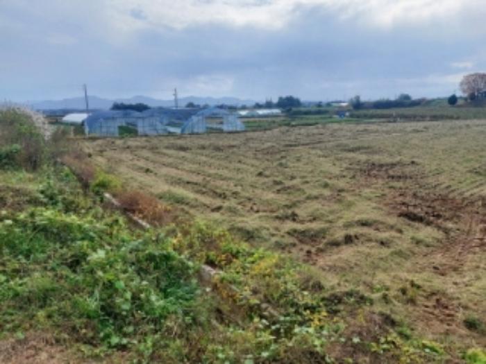 충청남도 당진시 합덕읍 대합덕리 501-2 전 경매 사진 32