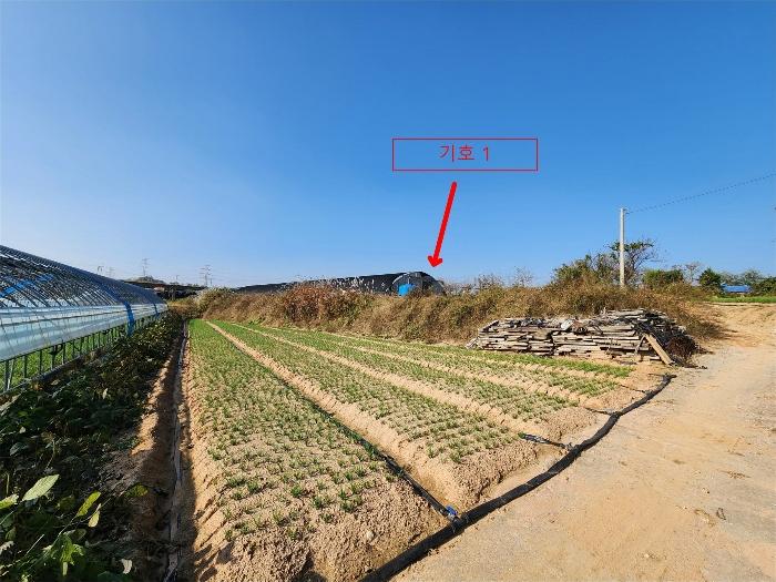 충청남도 당진시 합덕읍 대합덕리 501-2 전 경매 사진 8