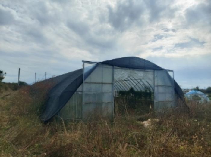 충청남도 당진시 합덕읍 대합덕리 504-1 전 경매 사진 20