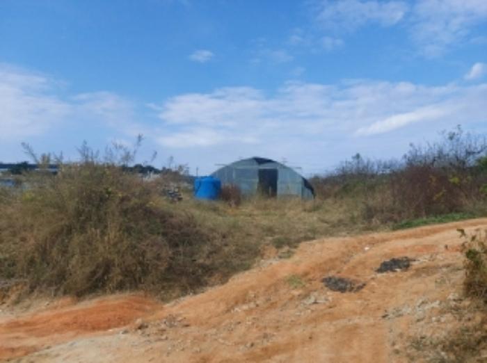 충청남도 당진시 합덕읍 대합덕리 504-1 전 경매 사진 22