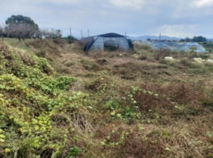 충청남도 당진시 합덕읍 대합덕리 504-1 전 경매 사진 26