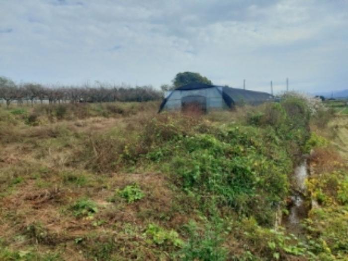 충청남도 당진시 합덕읍 대합덕리 504-1 전 경매 사진 28