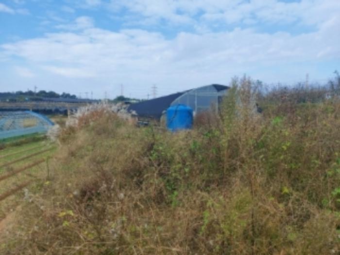 충청남도 당진시 합덕읍 대합덕리 504-1 전 경매 사진 29