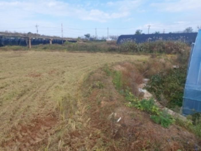 충청남도 당진시 합덕읍 대합덕리 504-1 전 경매 사진 35