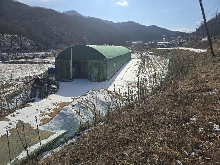 경상북도 김천시 조마면 신곡리 876-1 전 경매 사진 9