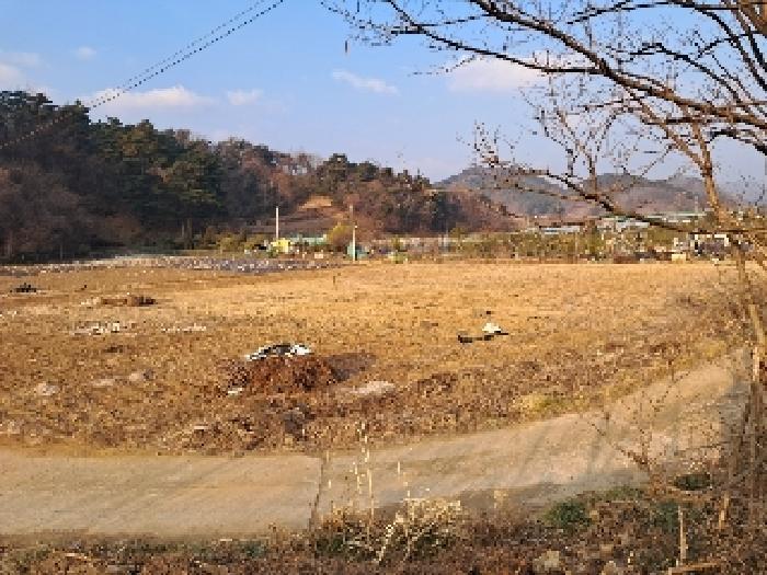 강원 삼척시 임야