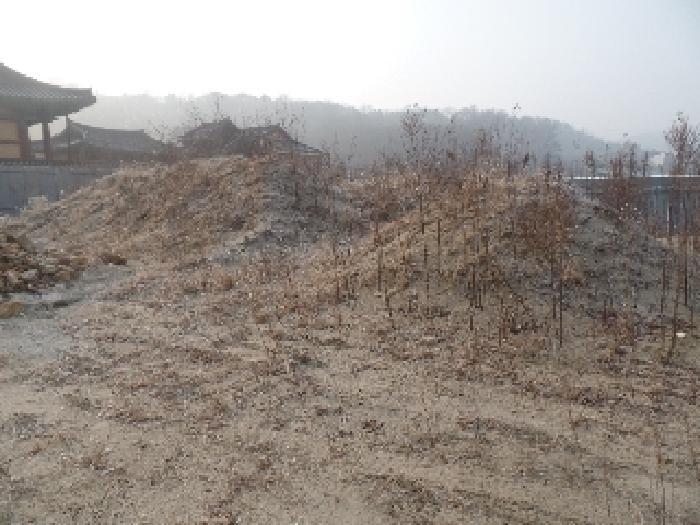 충청남도 논산시 은진면 시묘리 724-3 답 경매 사진 12