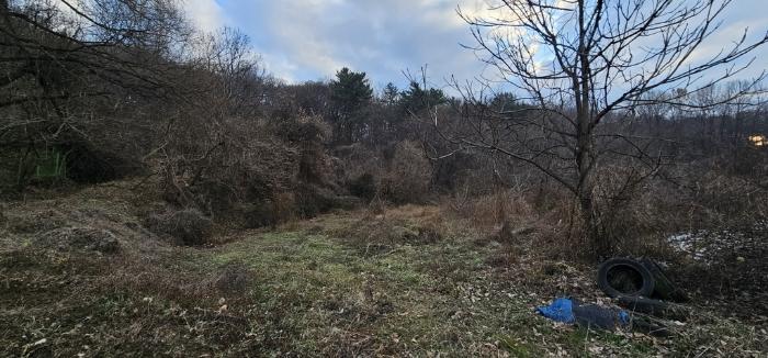 충청남도 논산시 은진면 시묘리 724-3 답 경매 사진 15