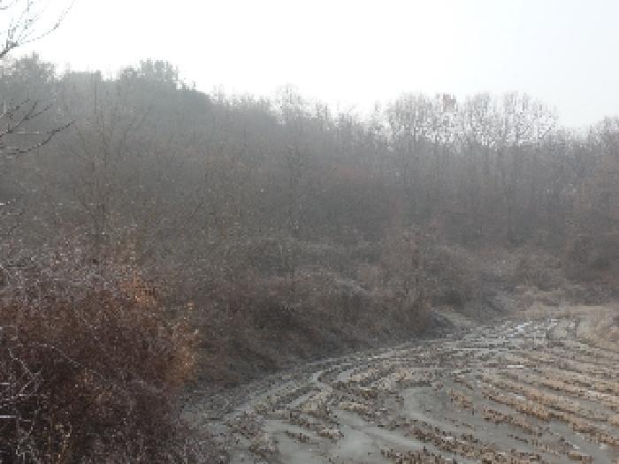충청남도 논산시 은진면 시묘리 724-3 답 경매 사진 7