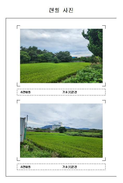 전라남도 영암군 영암읍 역리 442 답 경매 사진 5