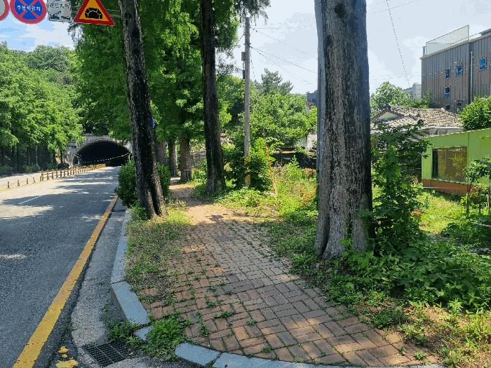 전북특별자치도 전주시 완산구 중화산동2가 산39-6 임야 경매 사진 1
