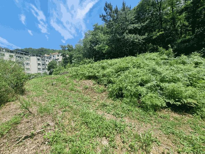 전북특별자치도 전주시 완산구 중화산동2가 산39-6 임야 경매 사진 14