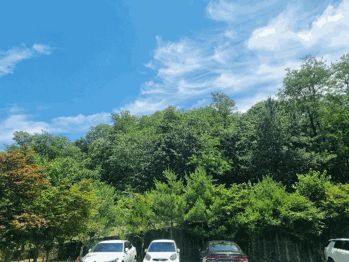 전북특별자치도 전주시 완산구 중화산동2가 산39-6 임야 경매 사진 15