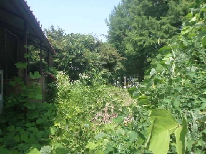 전북특별자치도 전주시 완산구 중화산동2가 산39-6 임야 경매 사진 36