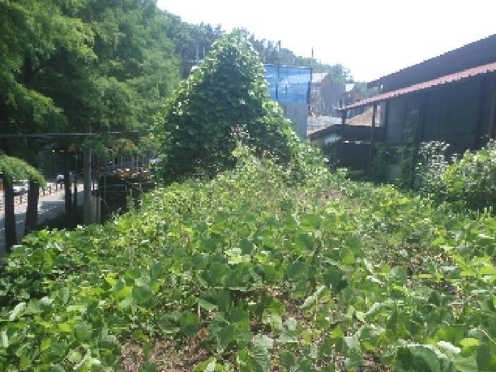 전북특별자치도 전주시 완산구 중화산동2가 산39-6 임야 경매 사진 38