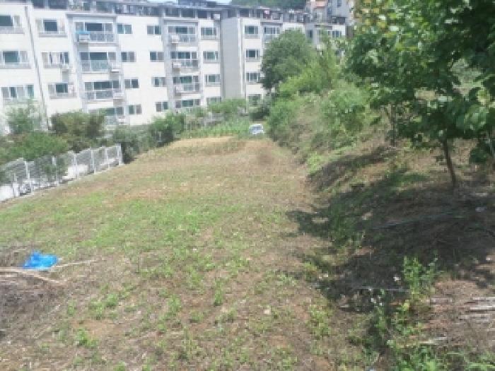 전북특별자치도 전주시 완산구 중화산동2가 산39-6 임야 경매 사진 45