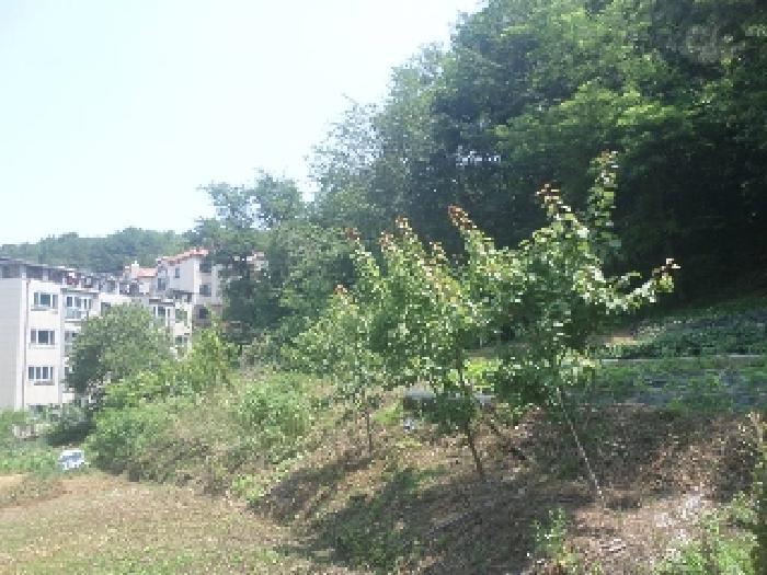 전북특별자치도 전주시 완산구 중화산동2가 산39-6 임야 경매 사진 48