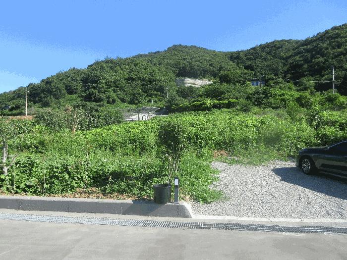전라남도 여수시 돌산읍 평사리 1299-2 전 경매 사진 1