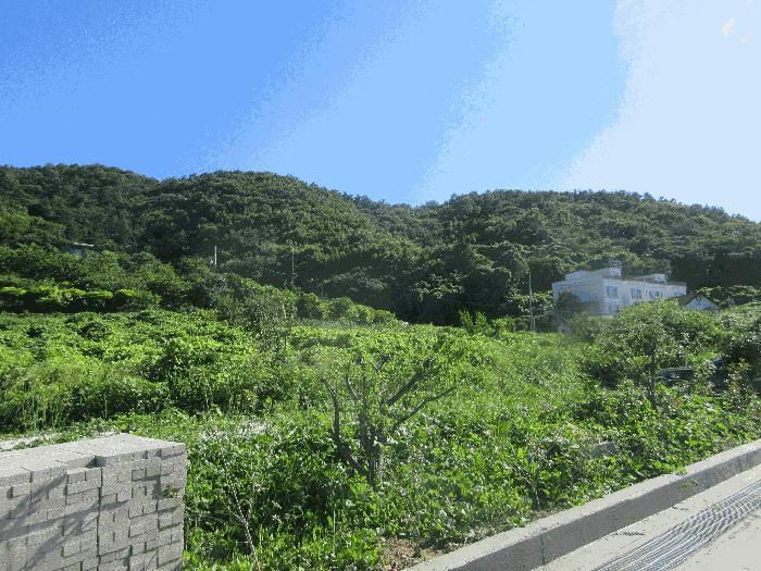 전라남도 여수시 돌산읍 평사리 1299-2 전 경매 사진 2