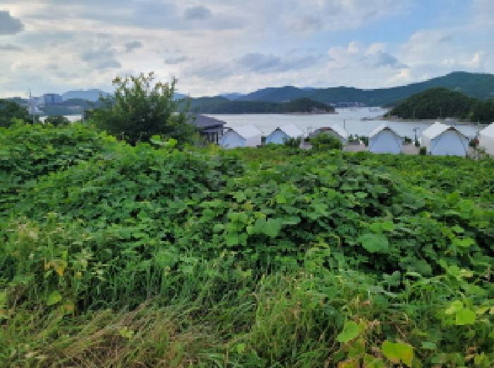 전라남도 여수시 돌산읍 평사리 1299-2 전 경매 사진 7