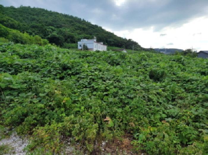 전라남도 여수시 돌산읍 평사리 1299-2 전 경매 사진 8