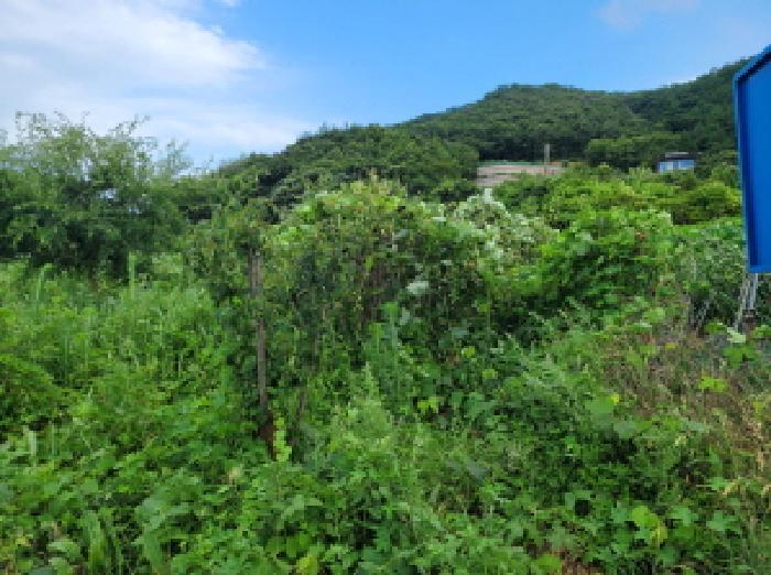 전라남도 여수시 돌산읍 평사리 1299-2 전 경매 사진 9