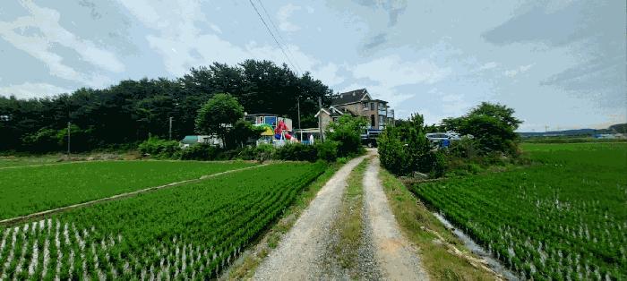 충청남도 태안군 남면 신온리 652-50 숙박시설 경매 사진 1