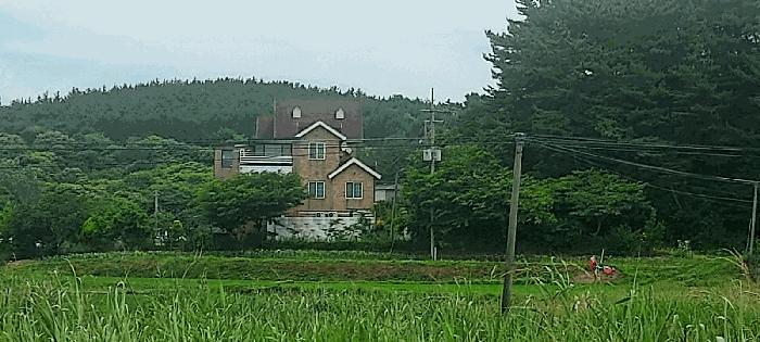 충청남도 태안군 남면 신온리 652-50 숙박시설 경매 사진 22