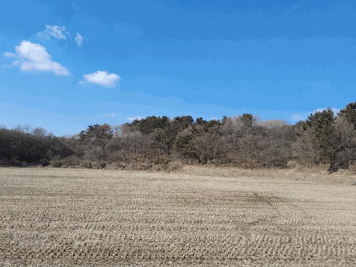 충청남도 태안군 고남면 누동리 1116-16 잡종지 경매 사진 2