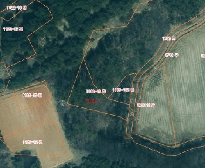 충청남도 태안군 고남면 누동리 1116-16 잡종지 경매 사진 3