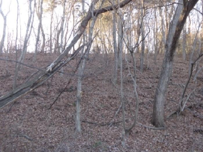 충청남도 태안군 고남면 누동리 1116-16 잡종지 경매 사진 6