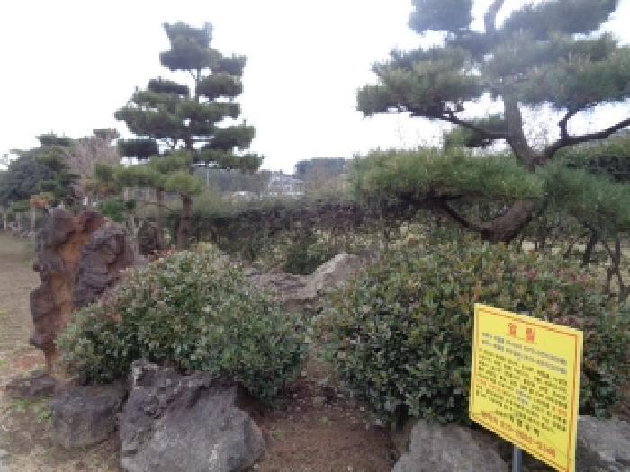 제주특별자치도 제주시 애월읍 유수암리 2470-3 전 경매 사진 11