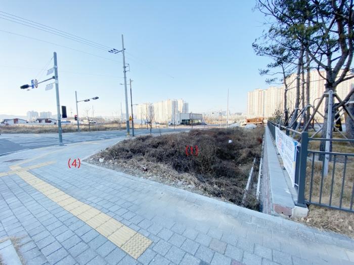 경상북도 영천시 완산동 504-2 답 경매 사진 1